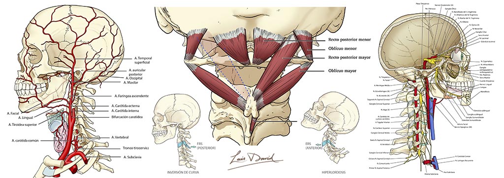 MONTAJE BLOG ALGIAS CERVICAL