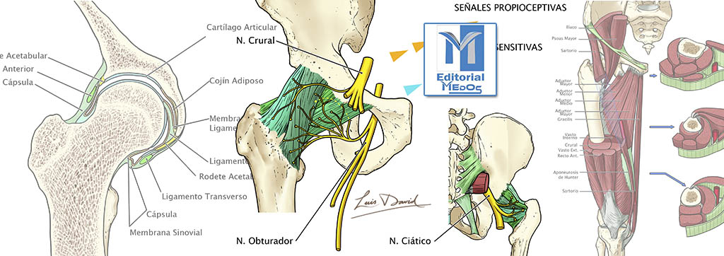MONTAJE BLOG MEDOS CADERA
